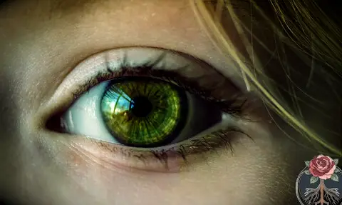 Visualize, Meditation, Ancestor Magick, Samhain, Tartarusfarms