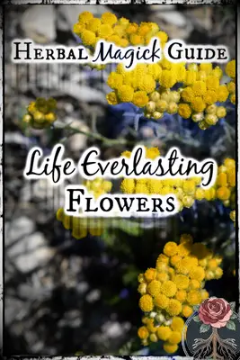 Life Everlasting Flowers: Herbal Magick Guide for Green Witches