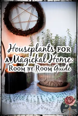 Plantes d'intérieur pour une maison magique: un guide pièce par pièce