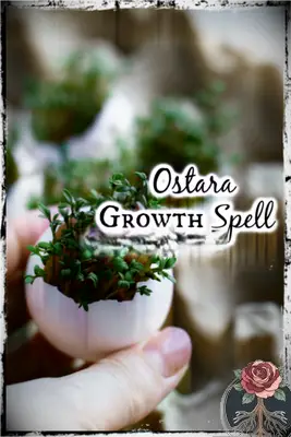 Hechizo de crecimiento de Ostara para mostrar tus objetivos