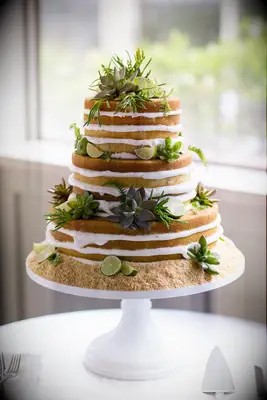 key lime pie naked wedding cake with graham cracker crumb base, succulents and sliced limes