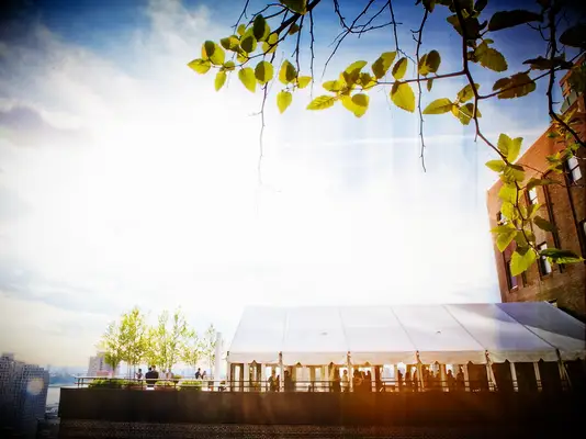 Marquee wedding tent 