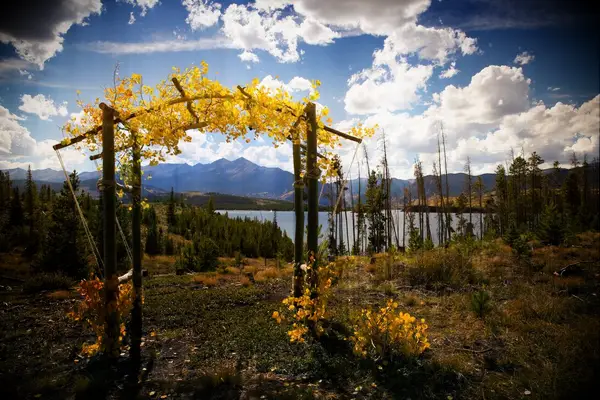 Leafy yellow wedding arch