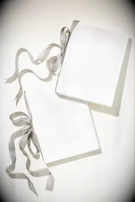 anthropologie silver velvet wedding vow books with silk ribbons