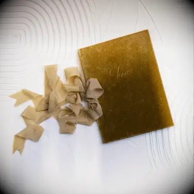 caramel brown velvet wedding vow book with silk ribbon