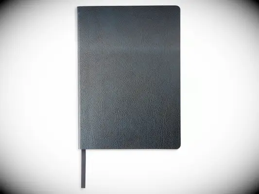 Sophisticated leather journal