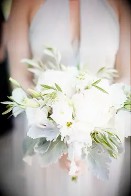 elegant winter wedding bouquet with dusty miller