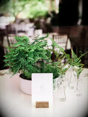 greenery centerpiece with potted ferns and individual branches in bud vases