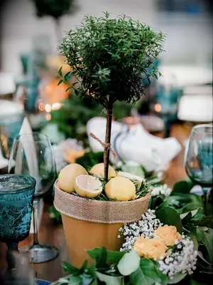 wedding centerpiece with miniature potted topiary tree and fresh lemon slices