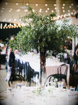 simple tall greenery centerpiece with boxwood branches