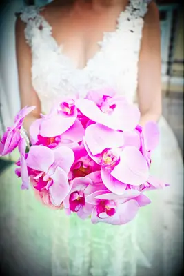 Fuschia Phalaenopsis Orchid Wedding Bouquet