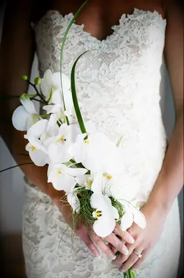 White Orchid Wedding Bouquet Idea