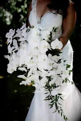 Phalaenopsis Orchid Wedding Bouquet