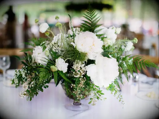 white flowers and ferns