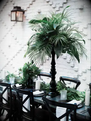 palms in black vase
