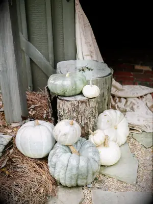 pale green and white painted pumpkins stacked onto tree stumps at wedding venue entrance