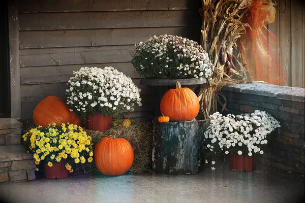 pumpkin wedding decor for fall wedding stacks of hay bales and tree stumps decorated with orange pumpkins and mums