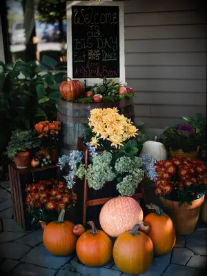 chalkboard wedding welcome sign at outdoor venue surrounded by potted mums, plants and orange pumpkins on the ground