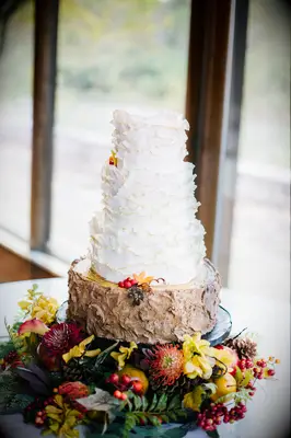 rustic buttercream fall wedding cake with faux wooden stand made from icing