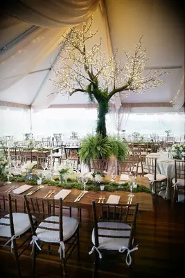 Lit Tree Centerpiece wedding lighting idea