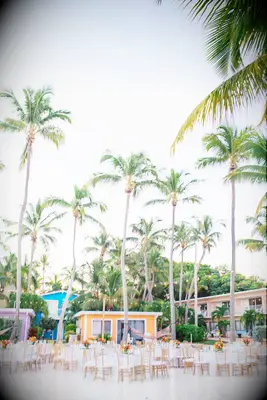Beachside Lights wedding lighting idea