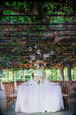 Low Arbor With String Lights wedding lighting idea