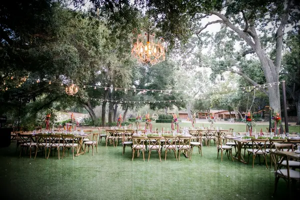 Chandelier in the Trees wedding lighting idea