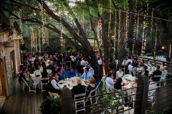 Tree Limb Wedding Lighting idea