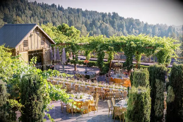 Outdoor winery reception venue