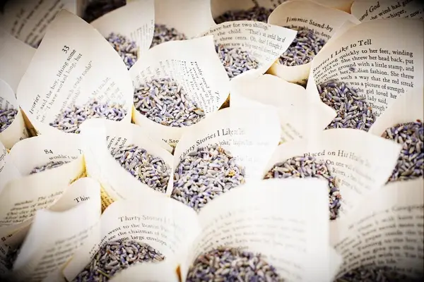 Dried lavender in book pages