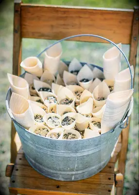 Birdseed wedding send-off idea