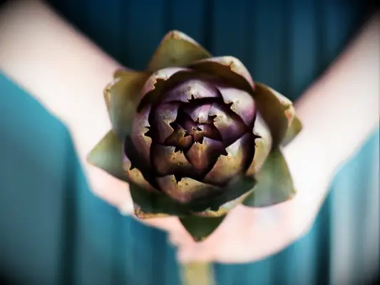 Artichoke wedding bouquet alternative