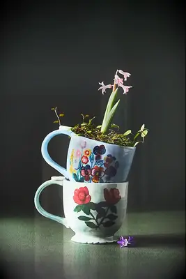 Cute floral teacups from Anthropologie for your Beauty and the Beast wedding