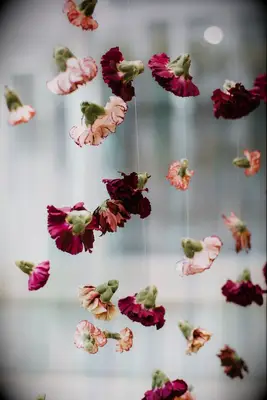 Purple carnations hanging from string