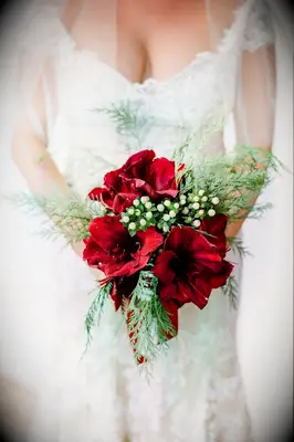 Bouquet with red amaryllis