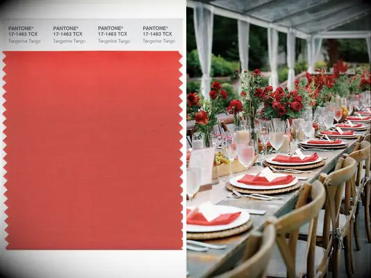 Pantone color of the year 2012