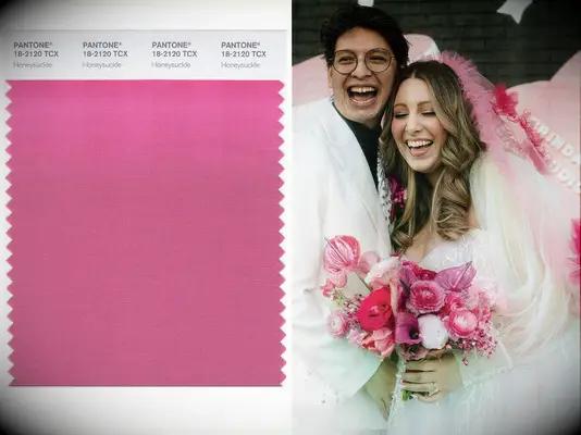 Pantone color of the year 2011