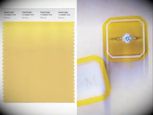 Pantone color of the year 2009