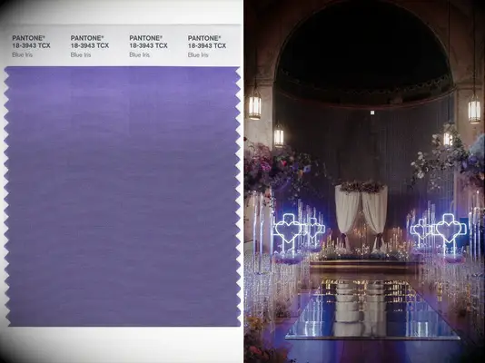 Pantone color of the year 2008