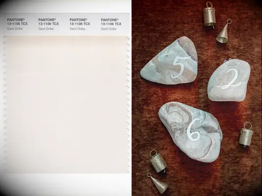 Pantone color of the year 2006