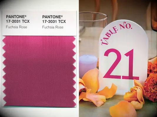 Pantone color of the year 2001