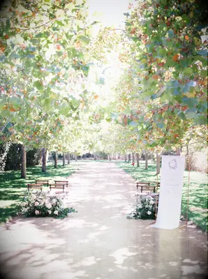 Natural wedding theme idea 2023. 