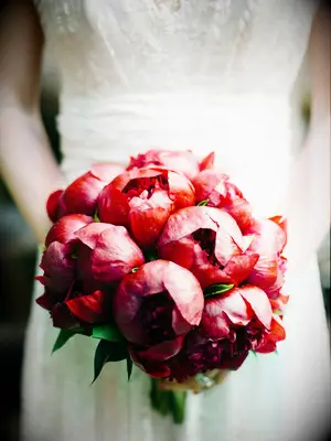 A bride holds a romantic bouquet of vibrant red peonies.