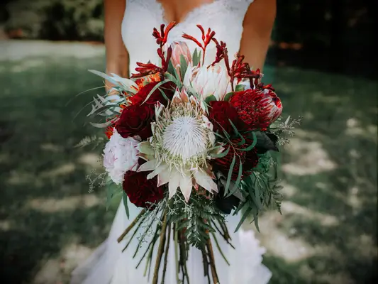 A bride holds a breathtaking bouquet of proteas and peonies in shades of burgundy and pale pink.
