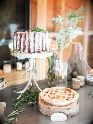 rustic one tier wedding cake with chocolate ganache frosting on top of silver antler cake stand