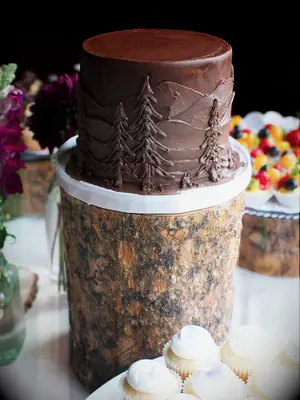 rustic chocolate one tier wedding cake with mountain and evergreen tree design