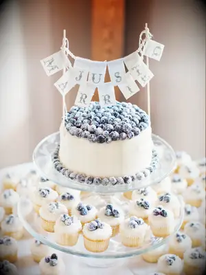 one tier buttercream wedding cake with fresh blueberries and just married cake topper 