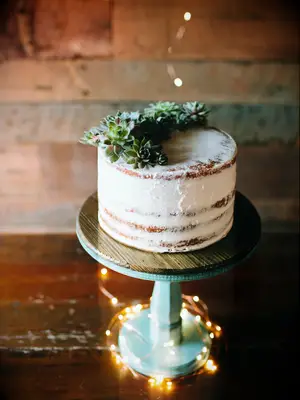simple rustic one tier wedding cake with semi naked frosting and succulents