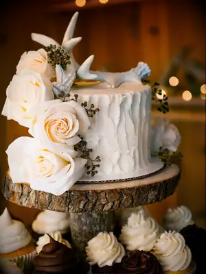 white buttercream one tier wedding cake on wooden tree stand with white roses and white antler topper
