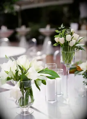 Simple Spring Centerpiece with Tulips and Amaryllis
